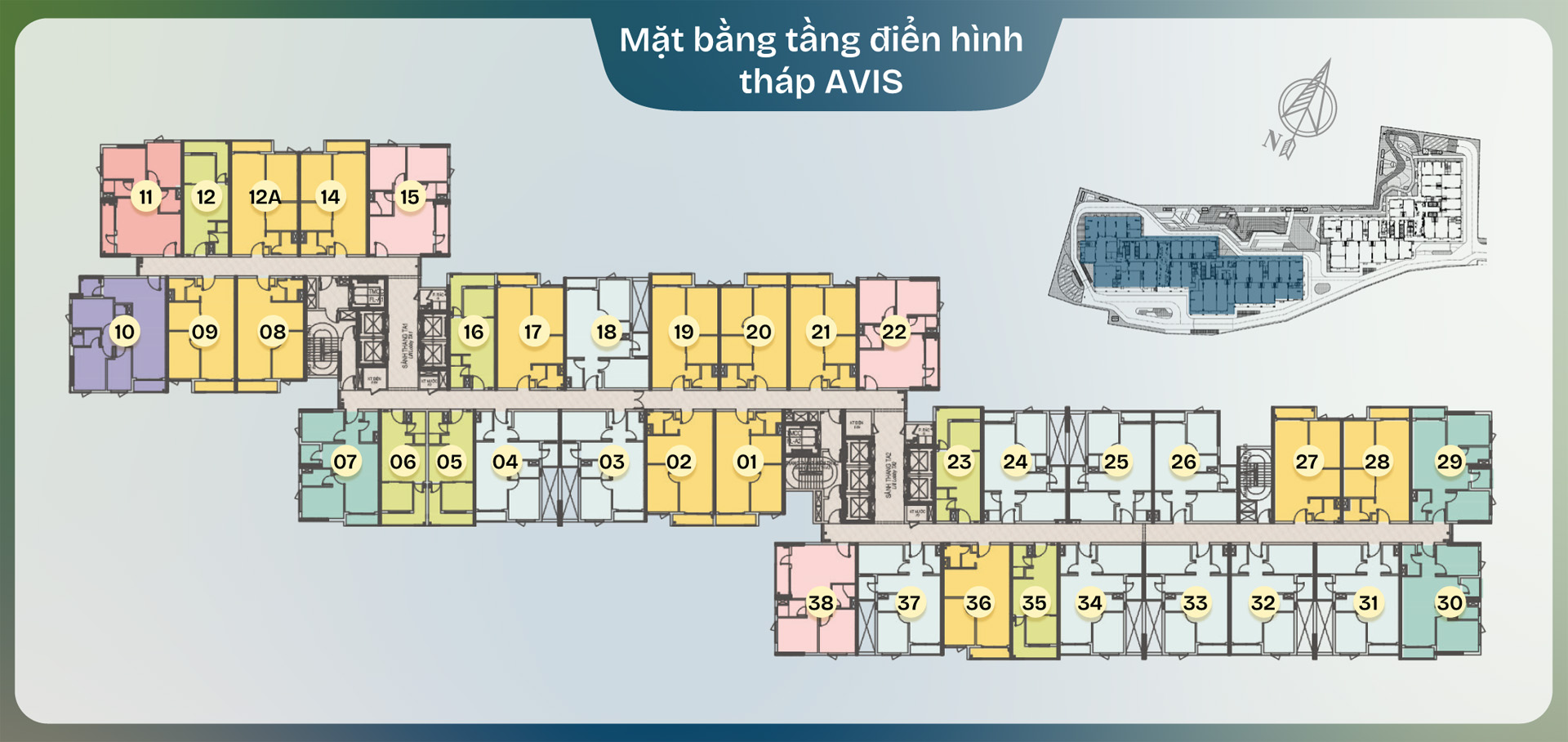 Mặt bằng tháp Avis