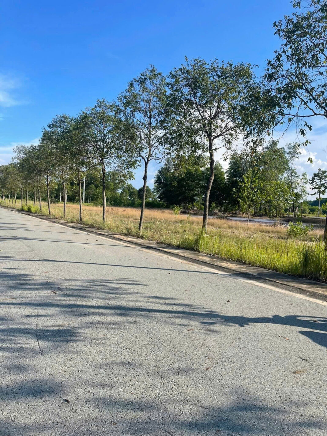 Đất nền Mỹ Phước 4 Đất nền Mỹ Phước 4