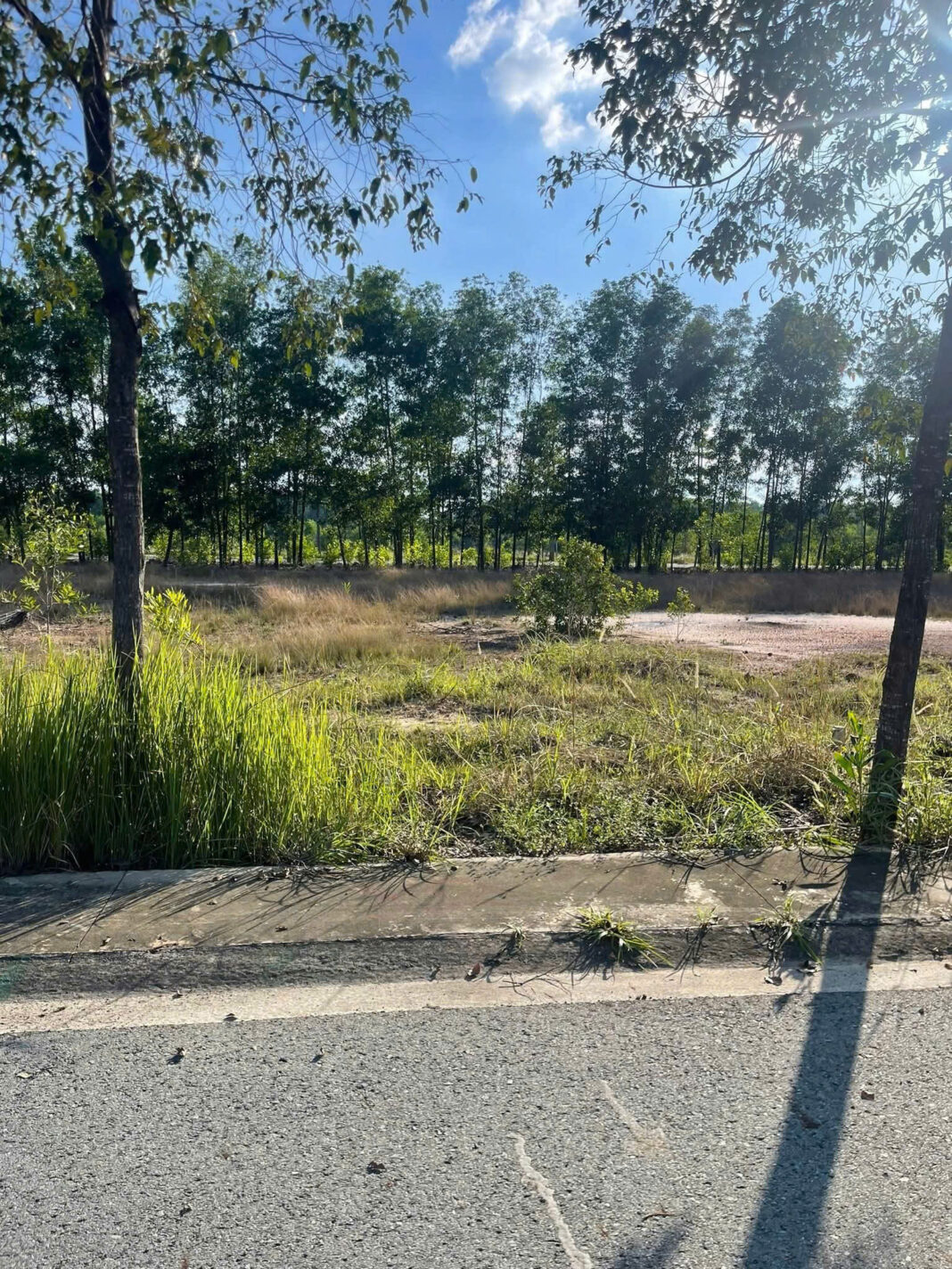 Đất nền Mỹ Phước 4 Đất nền Mỹ Phước 4