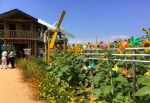 Ký gửi đất nền Đại Lộc Garden