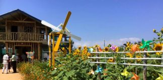 Ký gửi đất nền Đại Lộc Garden