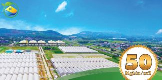 Dự án đất nền Nam Á Garden