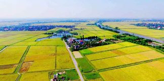 điều kiện chuyển nhượng đất nông nghiệp