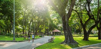 Đất công cộng đô thị là gì