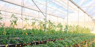 Đất nông nghiệp khác là gì