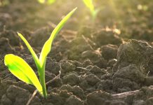 Vì sao phải sử dụng đất hợp lý? Vì sao phải sử dụng đất hợp lý