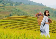 1 sào đất bằng bao nhiêu mét vuông