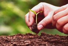 Quỹ đất sạch là gì