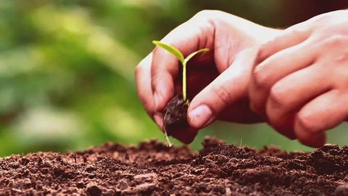Quỹ đất sạch là gì Quỹ đất sạch là gì