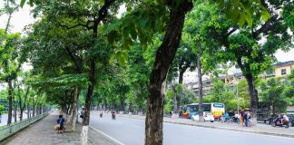 Đất lưu không là gì