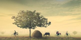 Đất hỗn hợp là gì