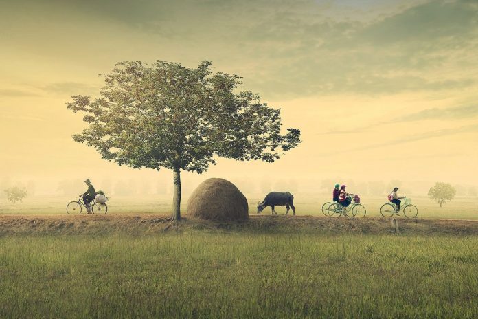 Đất hỗn hợp là gì