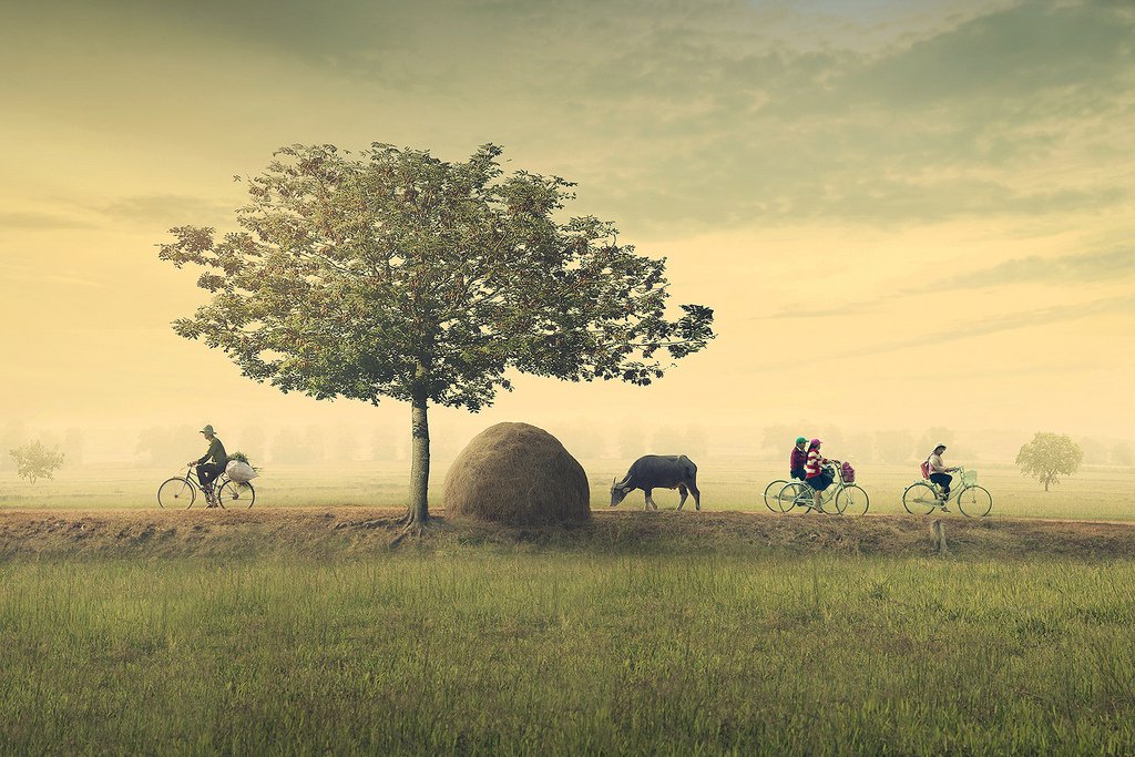 Đất hỗn hợp là gì