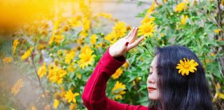 Huyện Bình Chánh có bao nhiêu xã