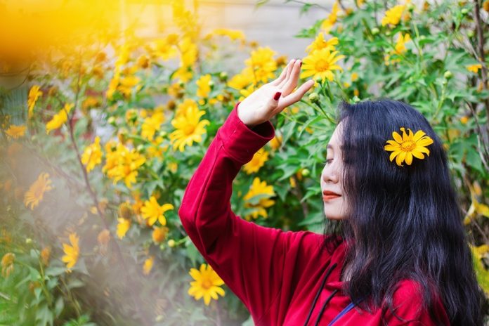 Huyện Bình Chánh có bao nhiêu xã