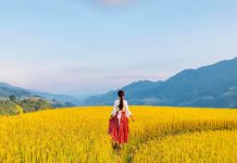 1 mẫu đất bao nhiêu mét vuông 1 mẫu đất bao nhiêu mét vuông