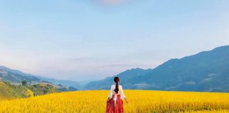 1 mẫu đất bao nhiêu mét vuông