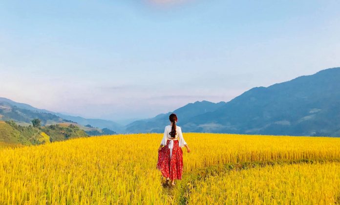 1 mẫu đất bao nhiêu mét vuông