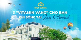 Ký gửi Icon Central