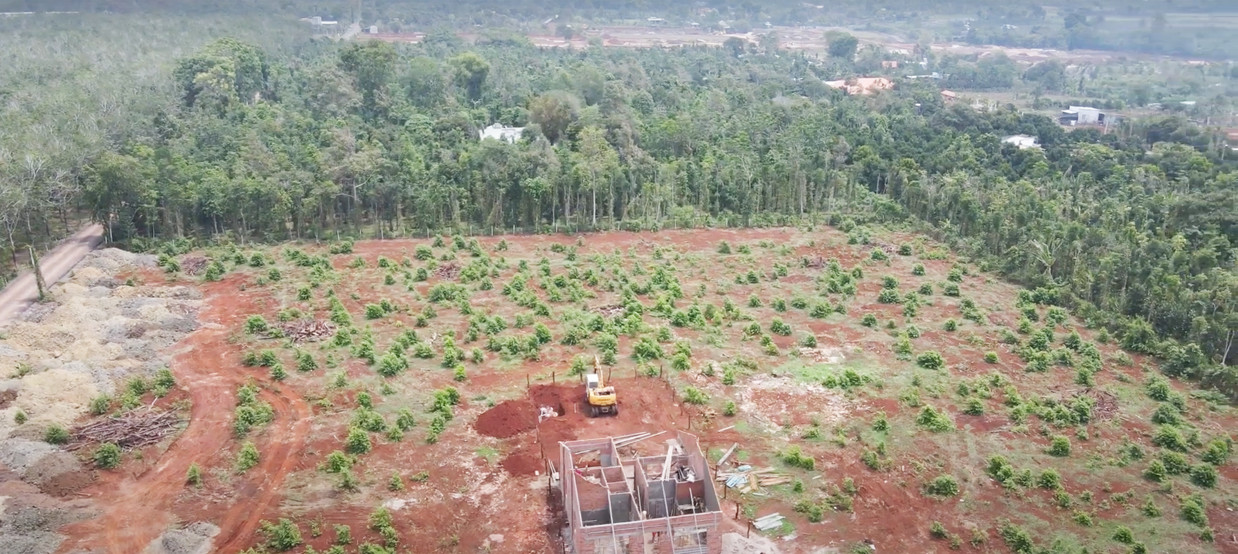 Hình ảnh thực tế