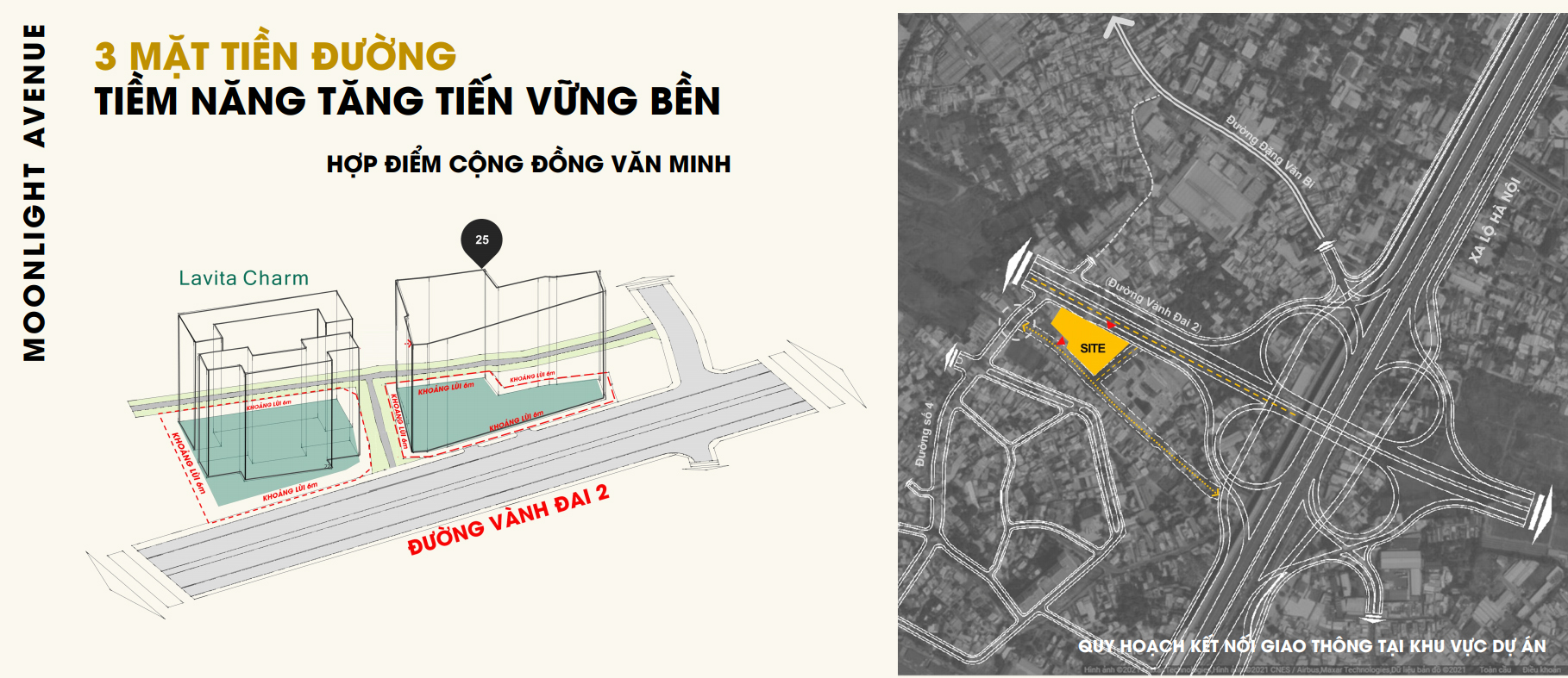 Vị trí tổng thể