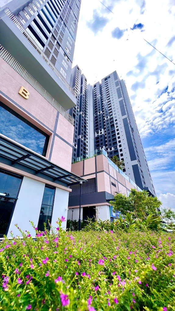 Tiến độ HT Pearl