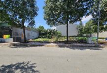 Đất nền Hưng Phước