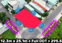 Đất nền Tân Uyên Bình Dương khu D VSIP 2