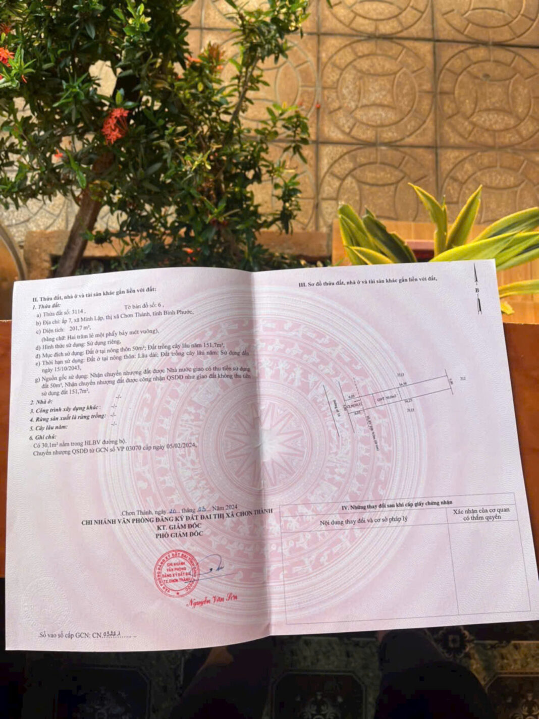 Sổ hồng Sổ hồng