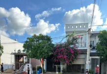 Đất nền Việt Nhân