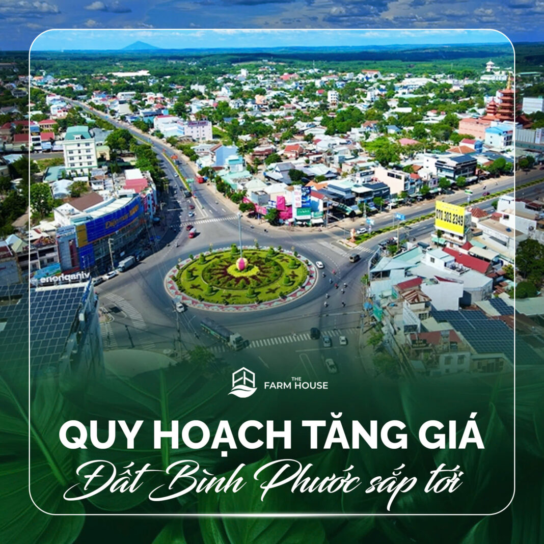 The Farm House Bình Phước The Farm House Bình Phước