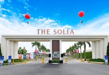 The Solia hình thực tế