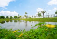 Đất Bình Dương giá rẻ