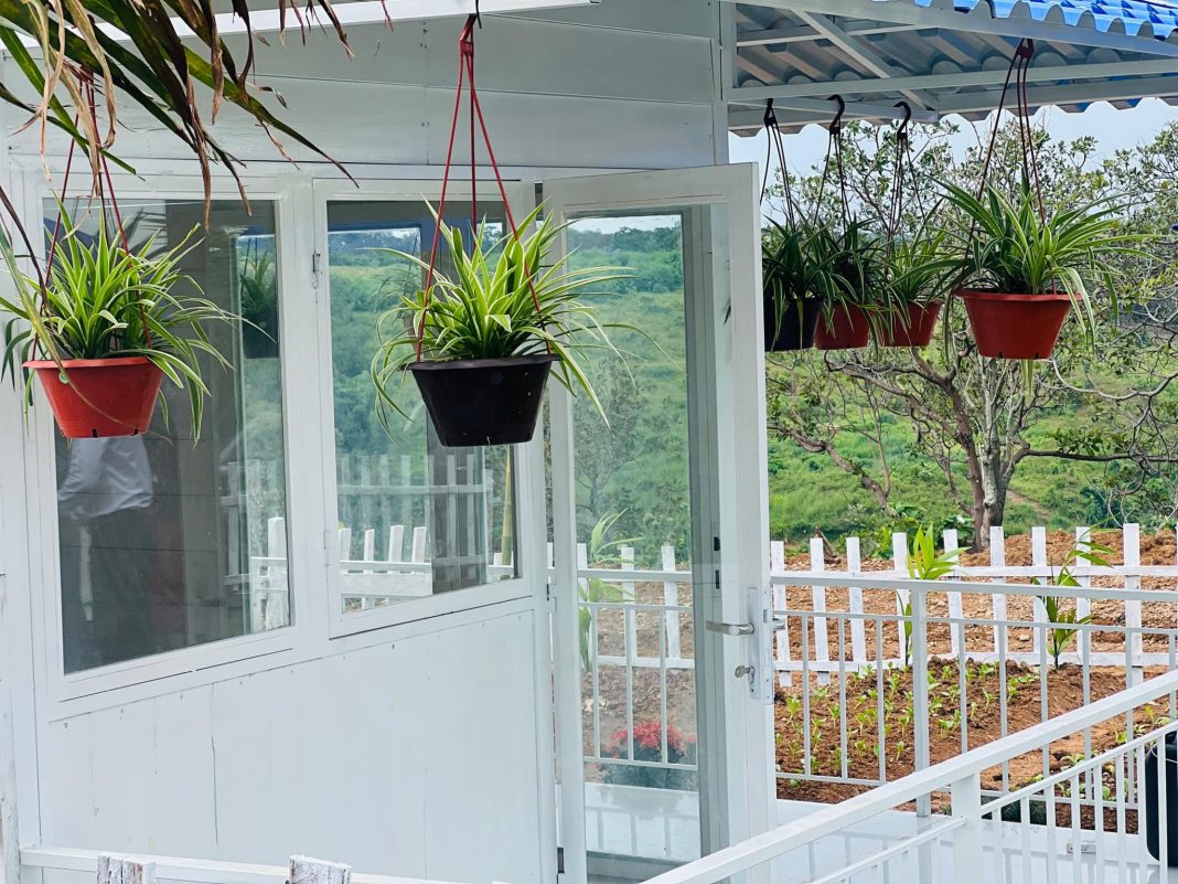 Thác Mơ Lake View Thác Mơ Lake View